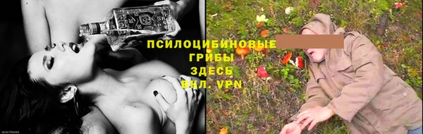 прущие крисы Беломорск