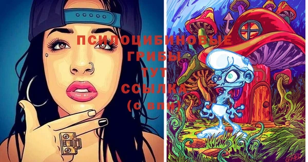 прущие крисы Беломорск