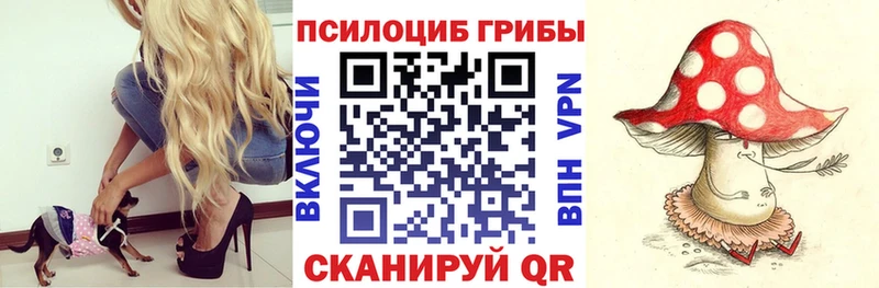 Галлюциногенные грибы Psilocybine cubensis  Боровичи 
