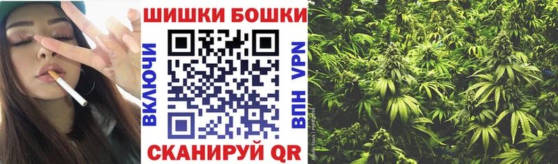 Шишки марихуана семена  Боровичи 